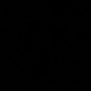 Meet your Posher, Karume